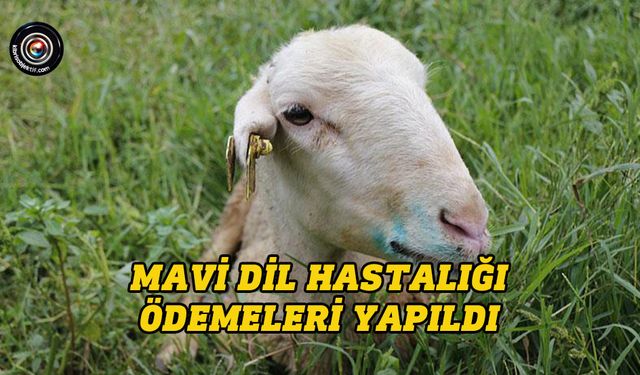 71 üreticiye ödeme yapıldı