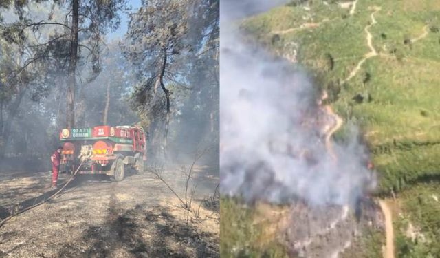 Antalya'da iki bölgede orman yangını