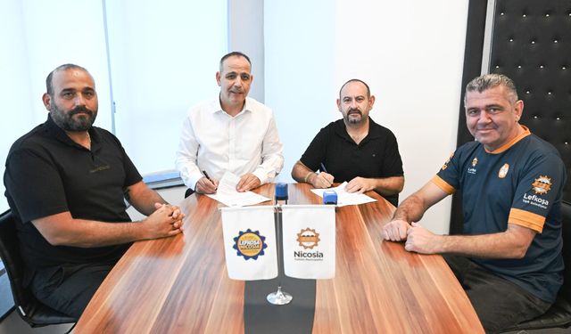 Bin 600 köpek kısırlaştırıldı
