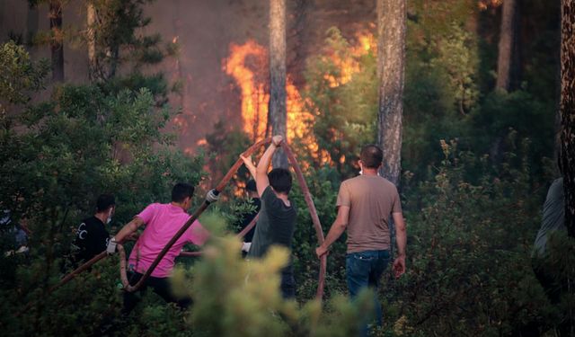 Türkiye’de orman yangınları: Bursa yangınlarında dört kişi hayatını kaybetti