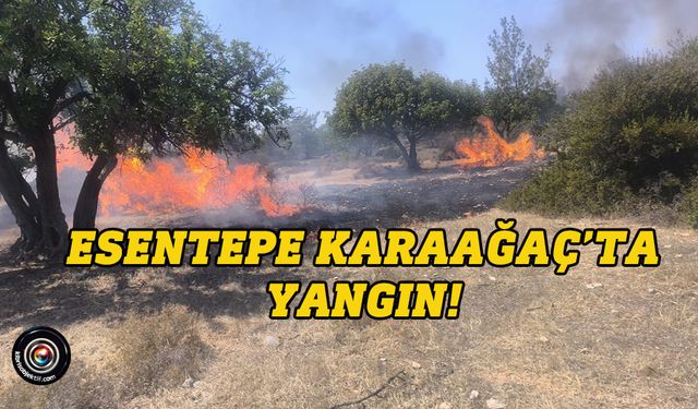 Esentepe Karaağaç’ta yangın!