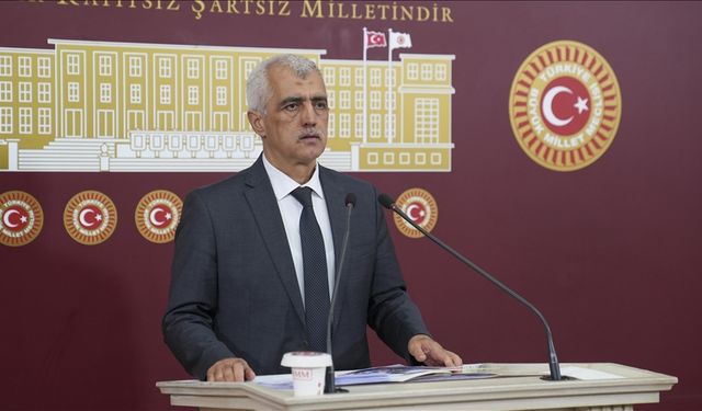 DEM Parti'li Gergerlioğlu: PKK, 11 Temmuz’da silah bırakacak