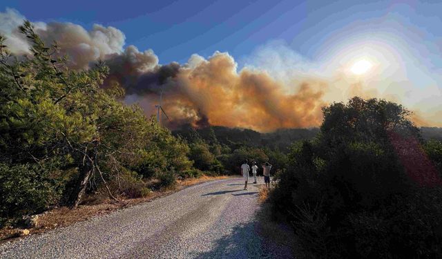 İzmir'in Urla ilçesinde orman yangını