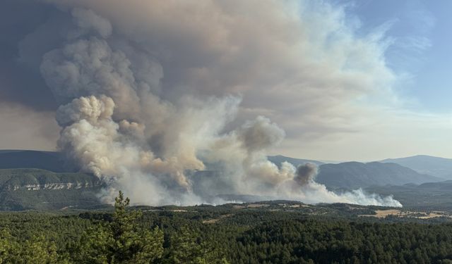 CTP'den orman yangınları konusunda açıklama