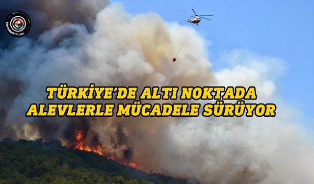 Türkiye’de altı noktada alevlerle mücadele sürüyor