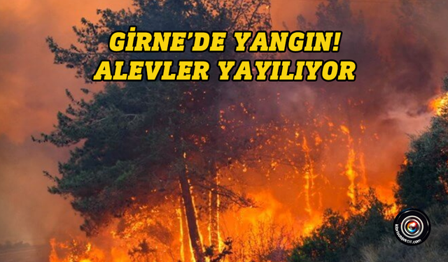 Girne'de Ciklos mevkiinde yangın...