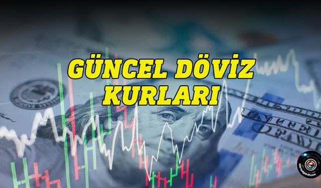 Bugünkü döviz kurları - 16 Aralık 2024