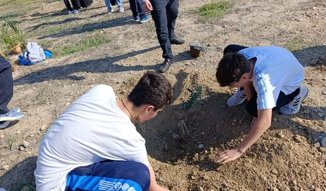 Hala Sultan İlahiyat Koleji’nden zeytin fidanı dikme etkinliği