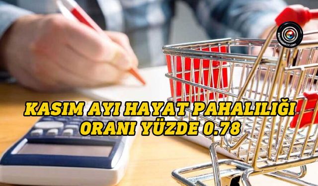 Kasım ayı hayat pahalılığı oranı açıklandı