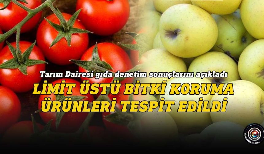 Bazı sebzelerde limit üstü bitki koruma ürünü tespit edildi