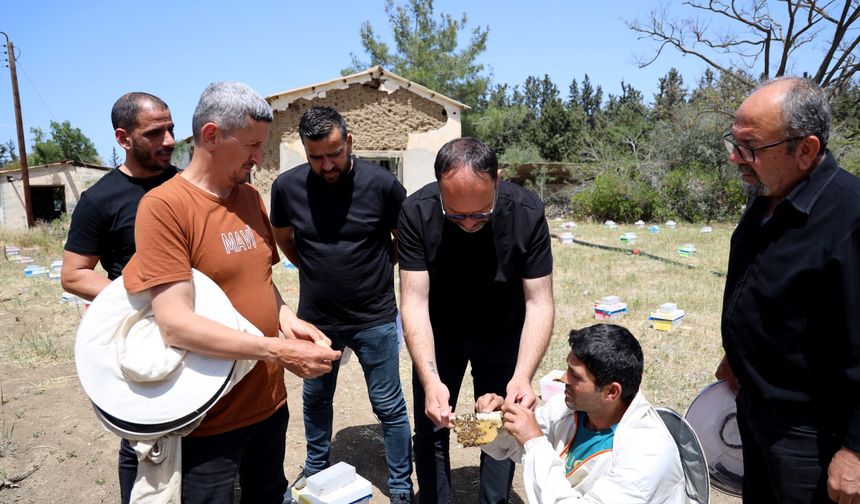 Ülkede ilk ana arılar üretildi