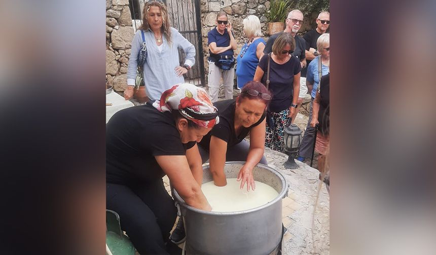 Girne Emekçi Kadınlar Kooperatifi’nden hellim atölyesi