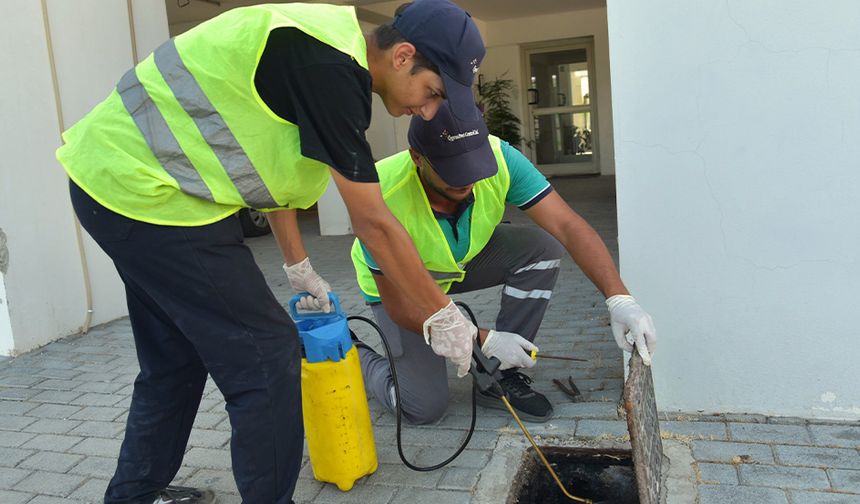 LTB hamamböceği ilaçlama çalışmalarını Taşkınköy’de sürdürüyor