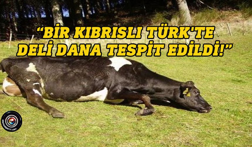Veterinerler: Koruyucu önlemler ivedilikle ele alınmalı