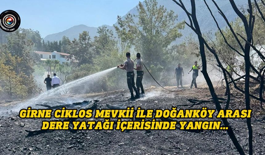 Yangın kontrol altına alındı